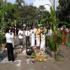 Thaipongal Festival_16.01.2019